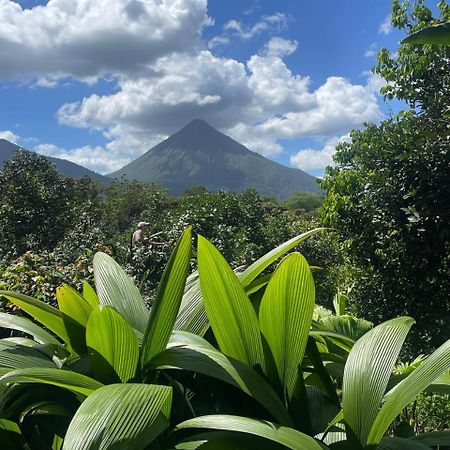 Cabana Rural El Mirador La Fortuna Eksteriør billede